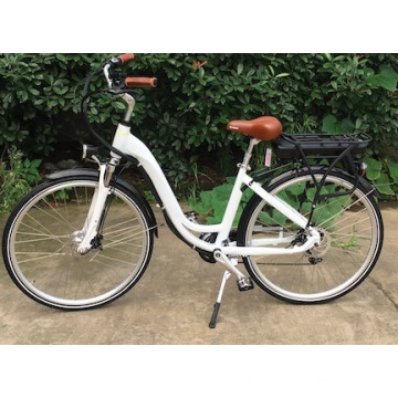 200-250W Motor Electric Bicycle